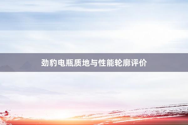 劲豹电瓶质地与性能轮廓评价