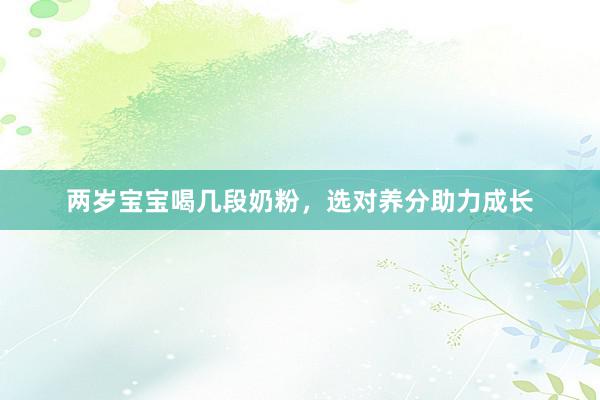 两岁宝宝喝几段奶粉，选对养分助力成长