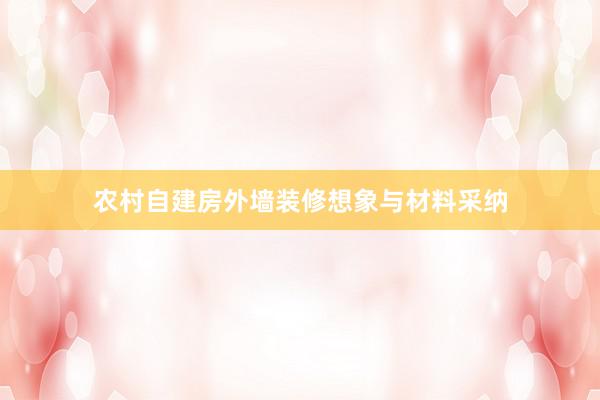 农村自建房外墙装修想象与材料采纳