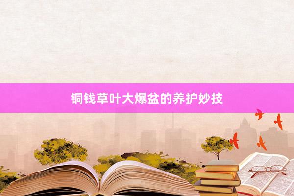 铜钱草叶大爆盆的养护妙技