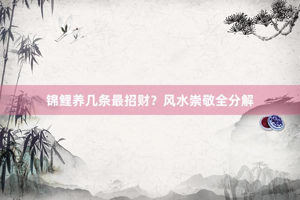 锦鲤养几条最招财？风水崇敬全分解